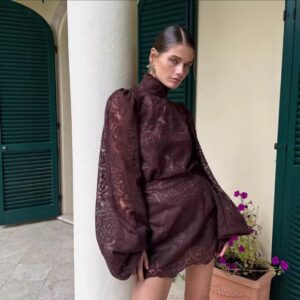 Aurora Brown Lace Mini Dress